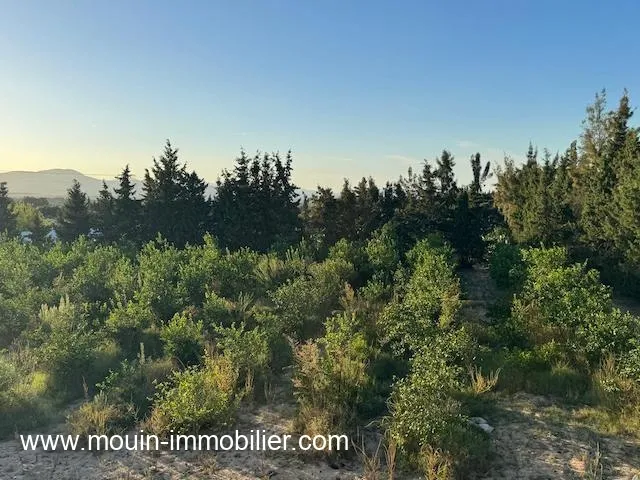 FERME ASIL Borj Hfaiedh Beni Oueil T1206