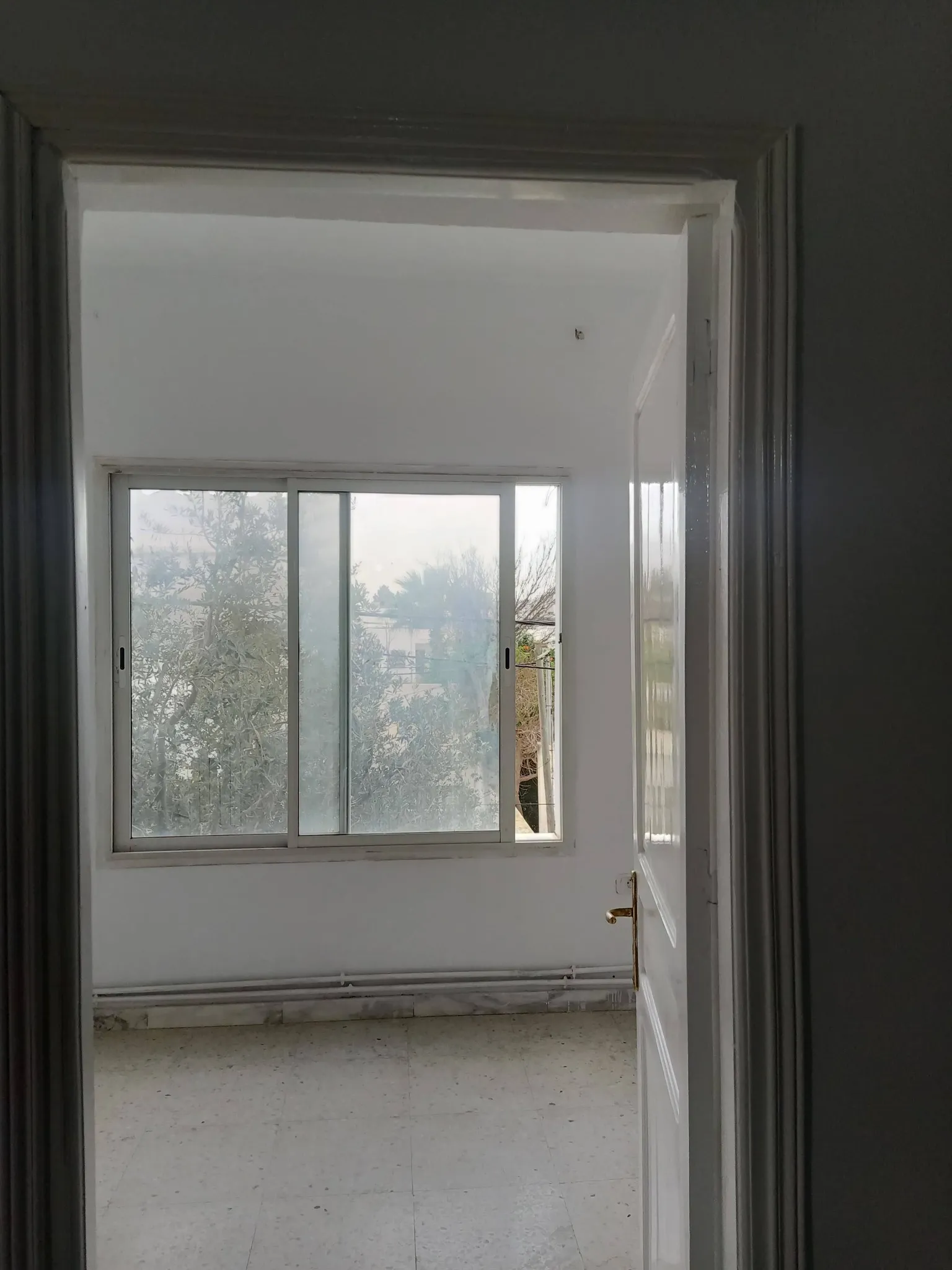 jolie s+2 a manzah 5