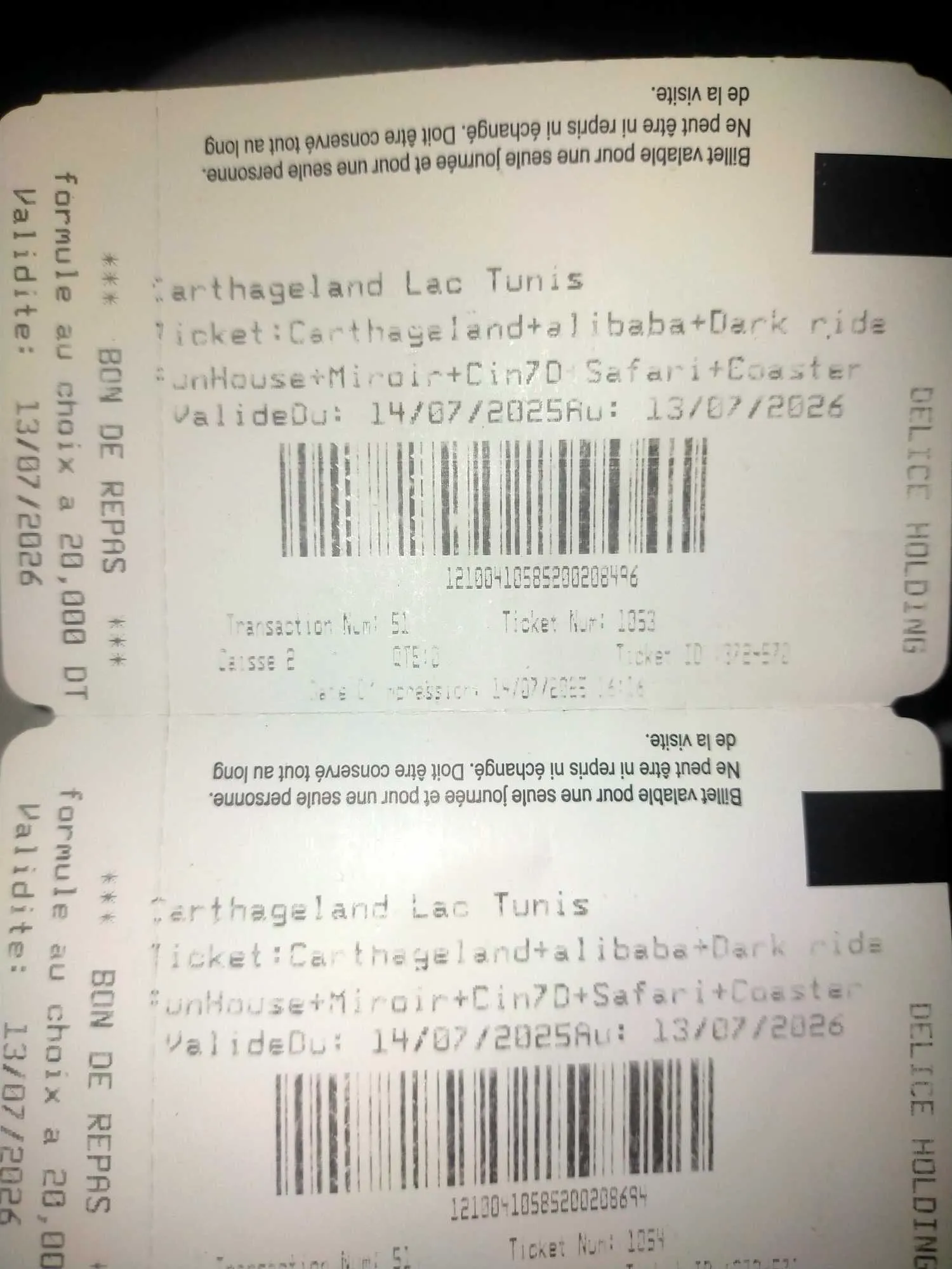 2 ticket Gartage land lac 