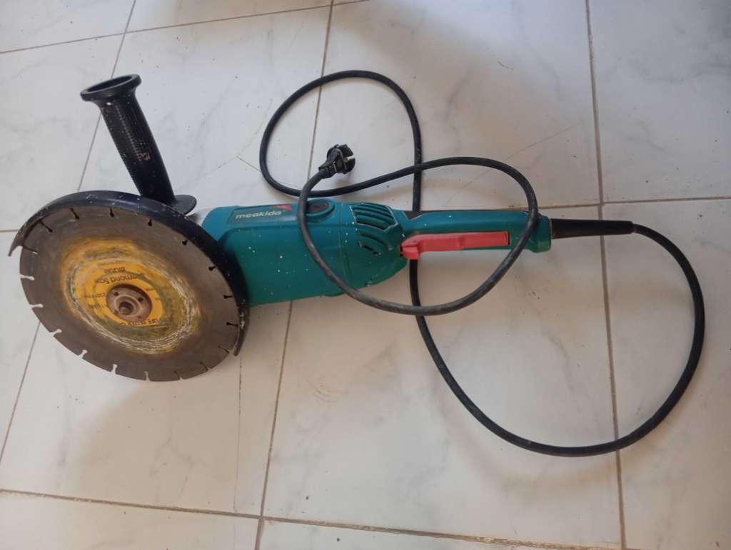 Maladisque meakida profisionel