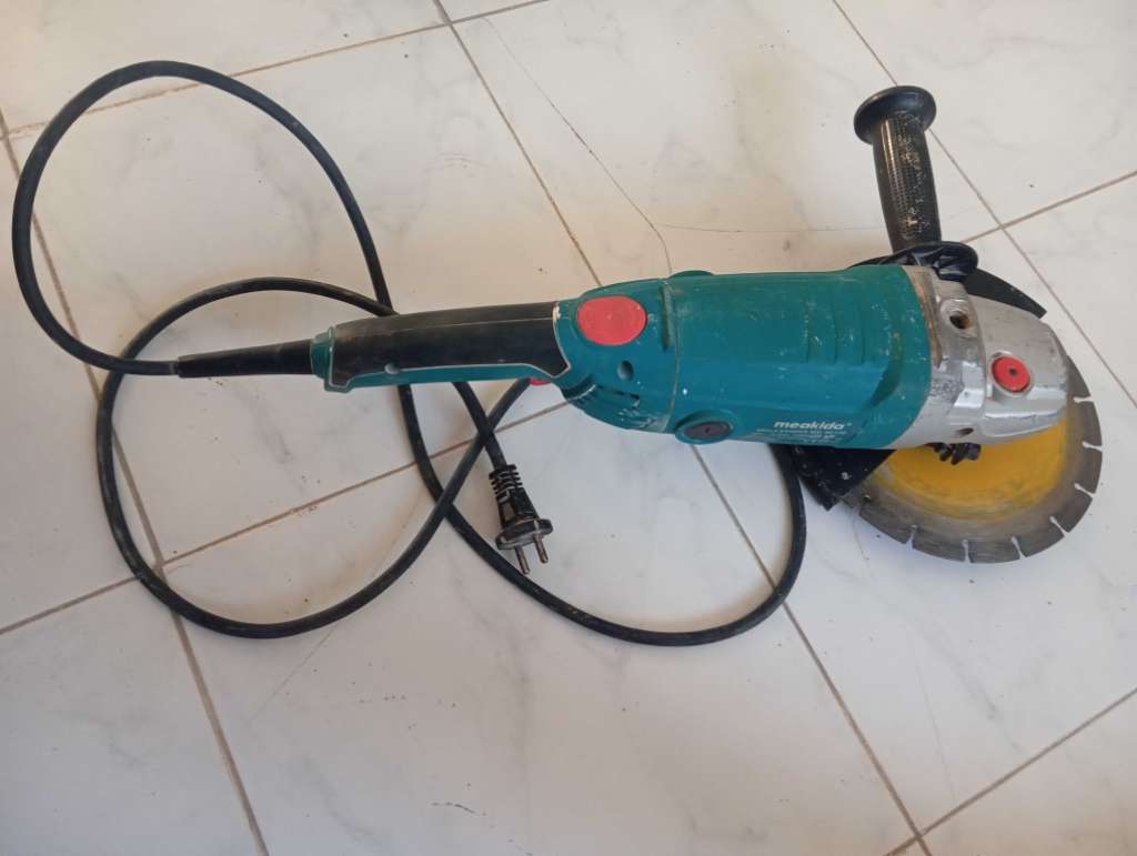 Maladisque meakida profisionel