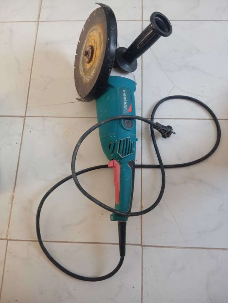 Maladisque meakida profisionel