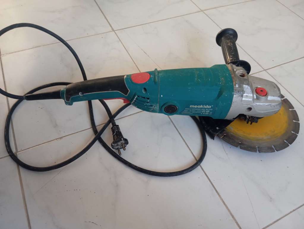 Maladisque meakida profisionel