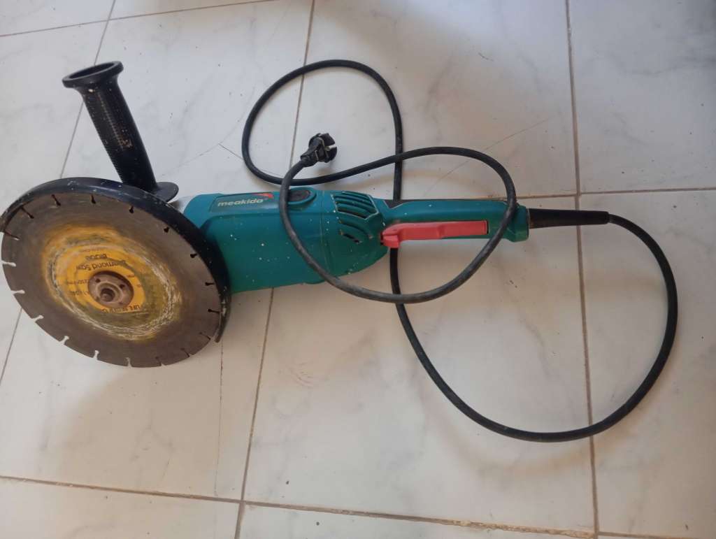 Maladisque meakida profisionel