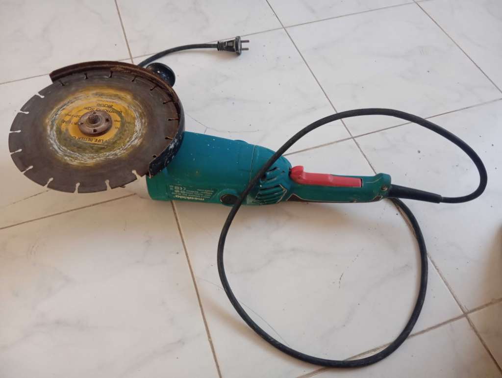 Maladisque meakida profisionel