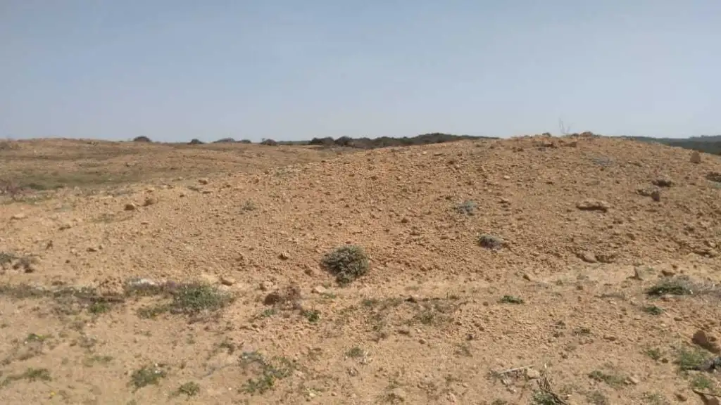 قطعة الأرض للبيع 5 هكتارات موقع أول على البحر سيدي دواد الهوارية