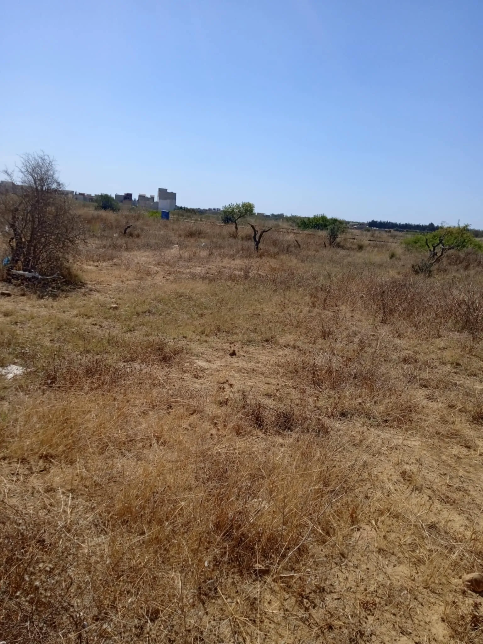 terrain a bareket essahel 1000 m