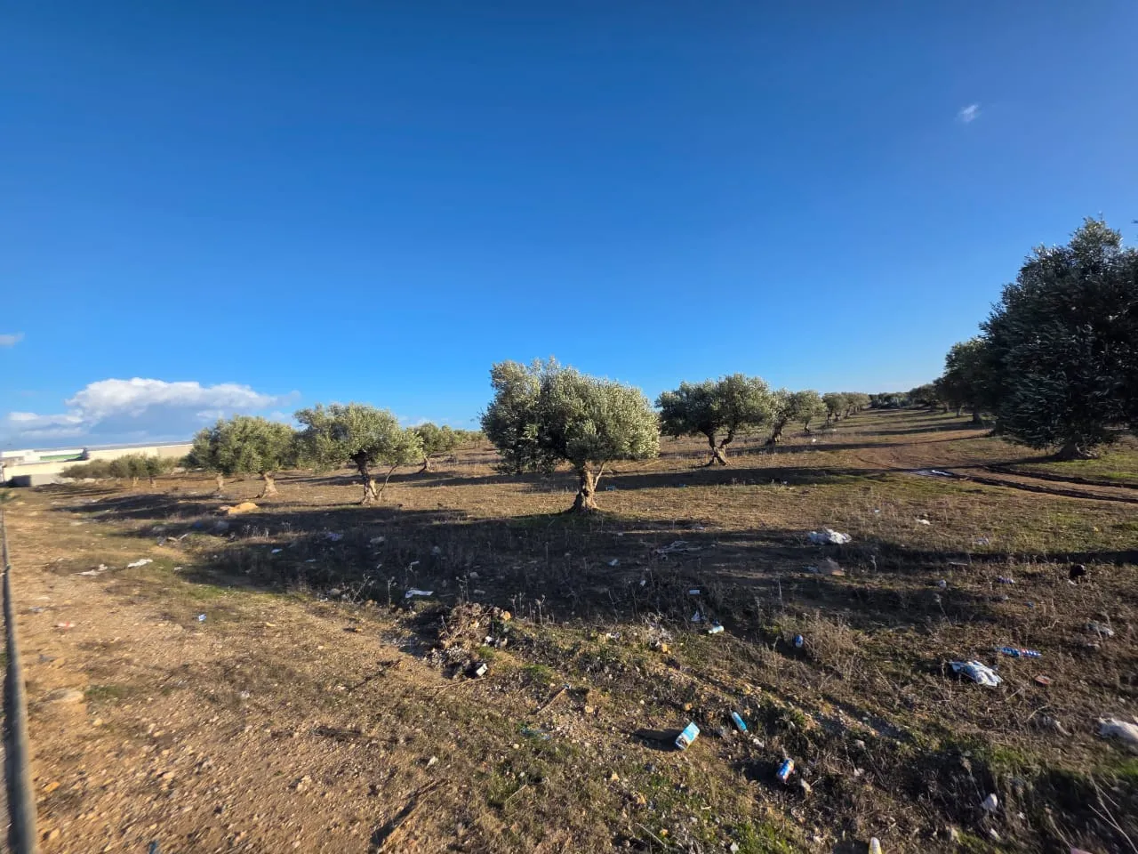 Terrain d'1 Hectare En Vente sur La Route Touristique Hergla