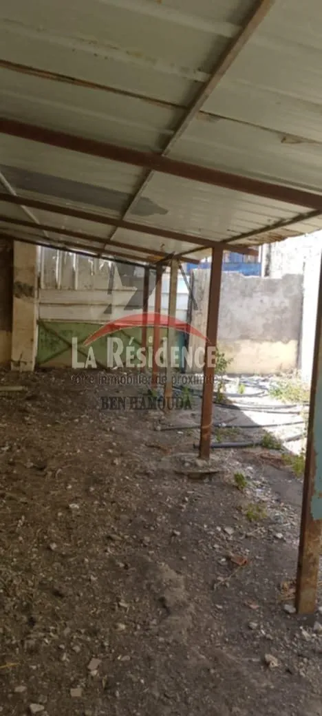 فيرمة للبيع حريزة طريق العالية بنزرت