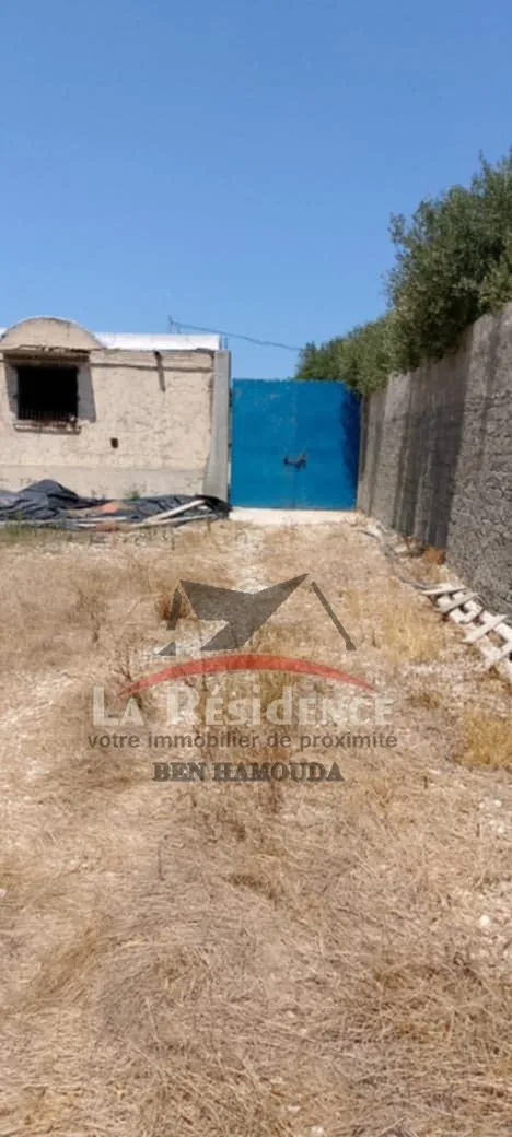 فيرمة للبيع حريزة طريق العالية بنزرت