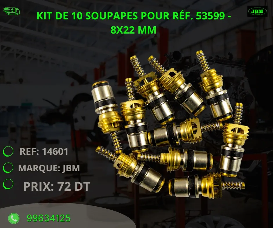 A VENDRE MATERIEL DE GARAGE REF : 14601 KIT DE 10 SOUPAPES POUR RÉF. 53599 - 8X22 MM