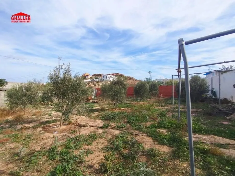 Villa arabesque s+2 sur terrain de 2000m 29730412