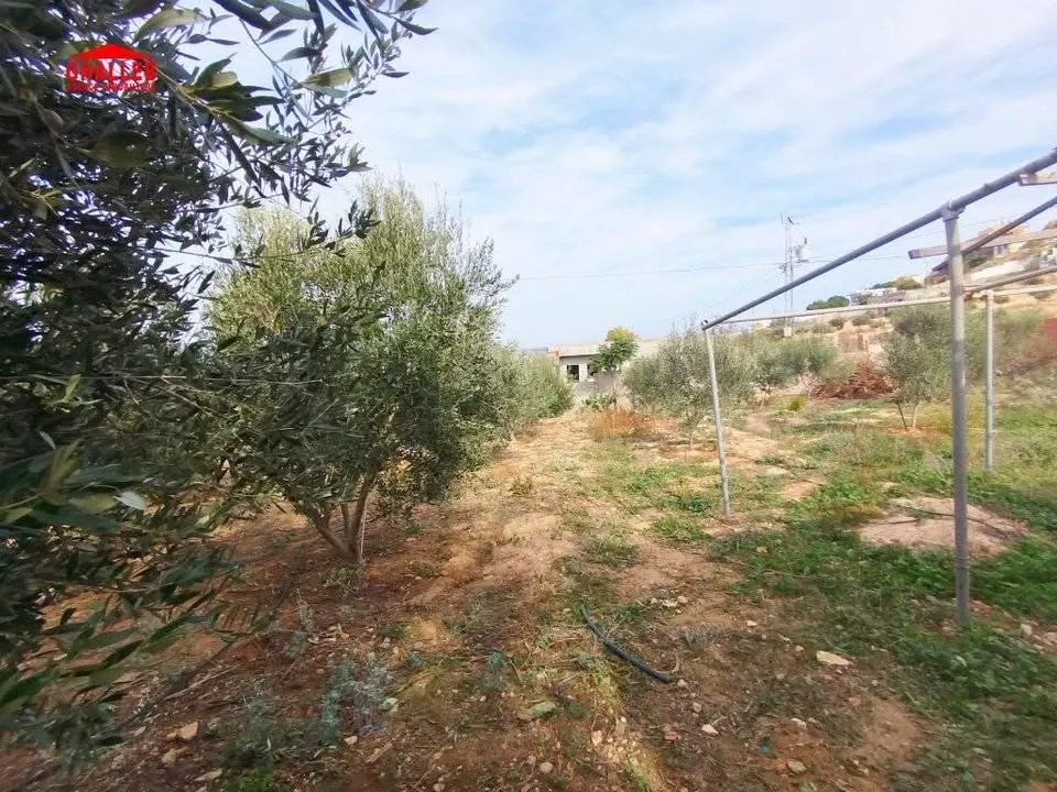 Villa arabesque s+2 sur terrain de 2000m 29730412