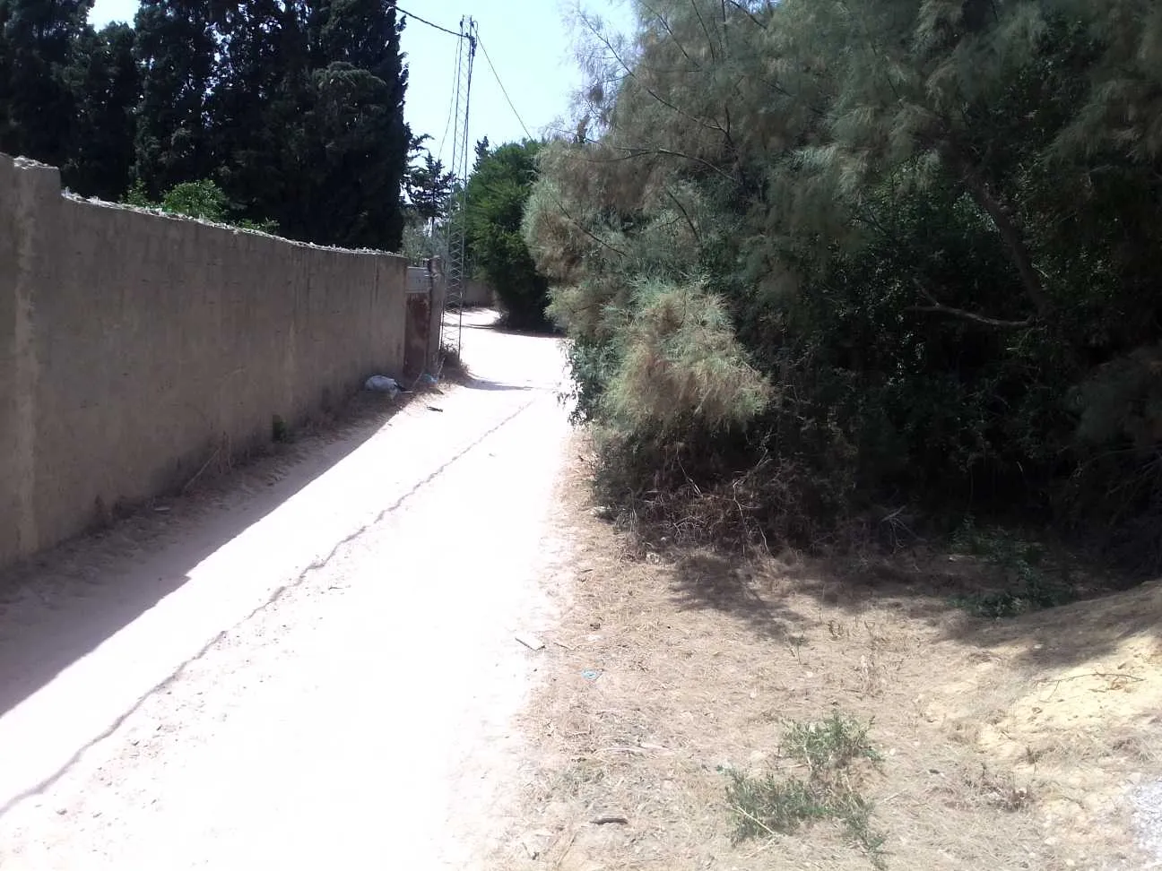 Terrain 310 + maison route plage rasjbal