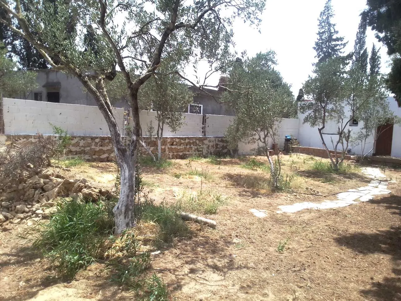 Terrain 310 + maison route plage rasjbal