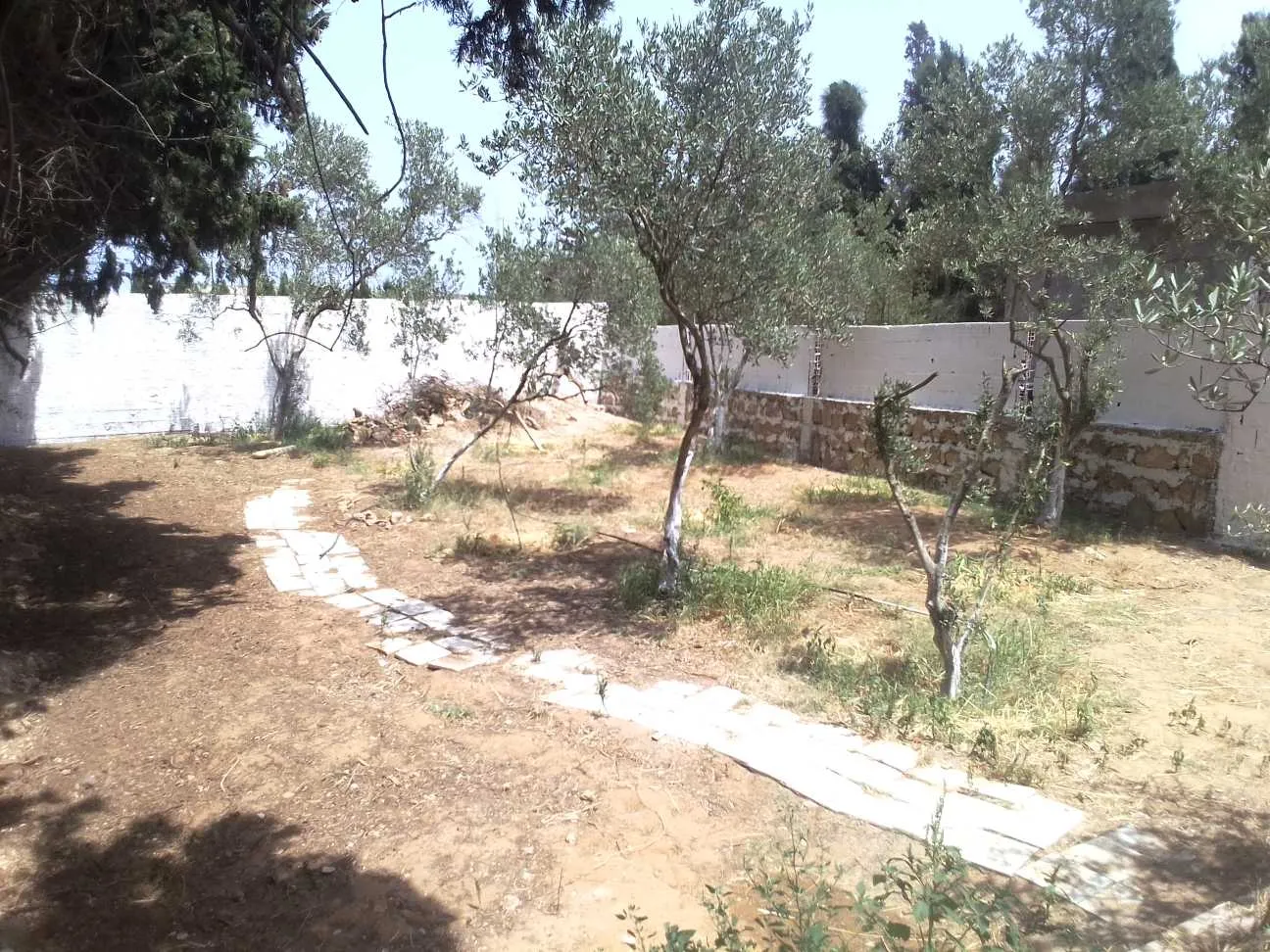 Terrain 310 + maison route plage rasjbal