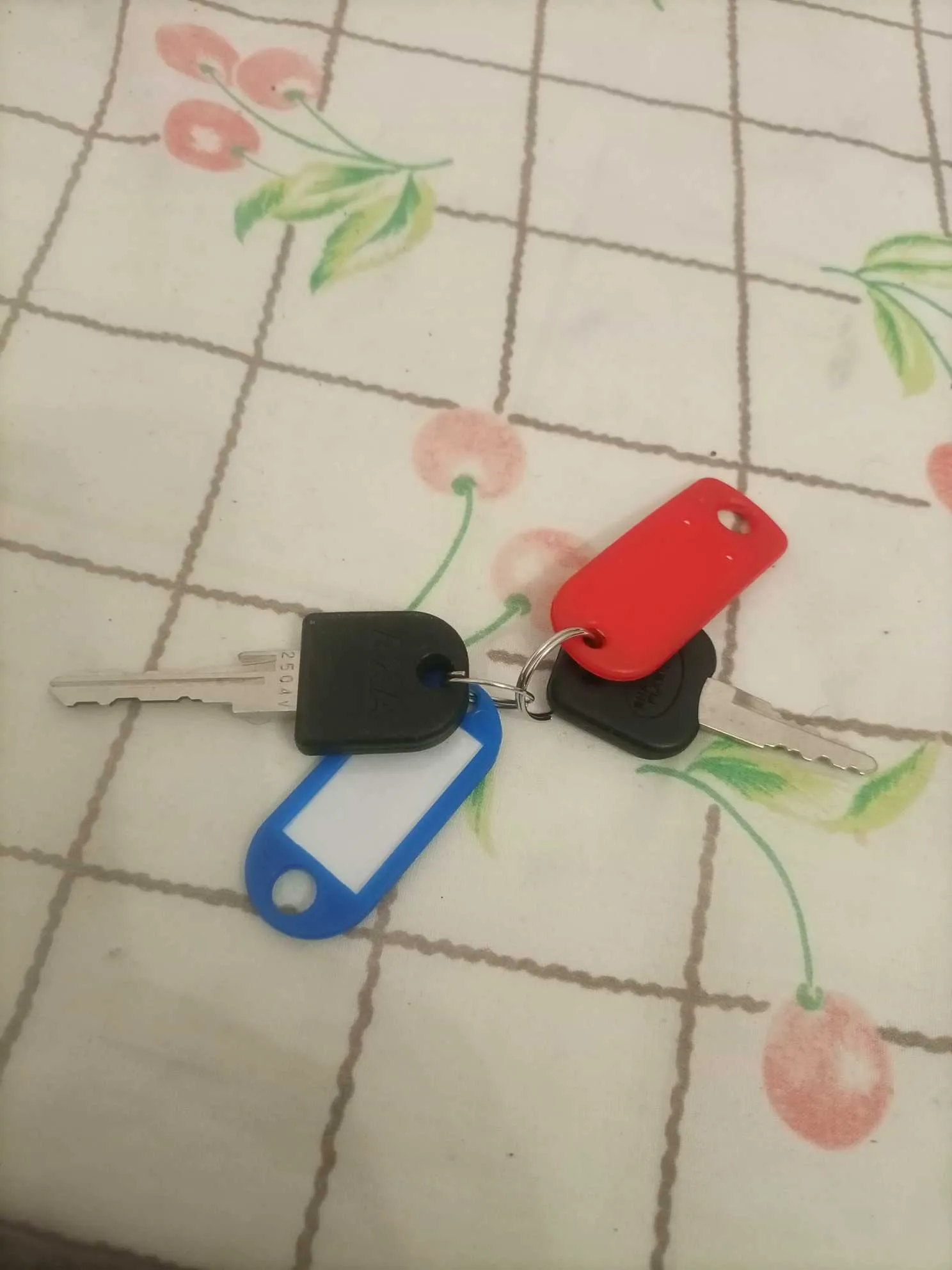 Vélo de ville électrique importé 🇨🇵 26pouces 