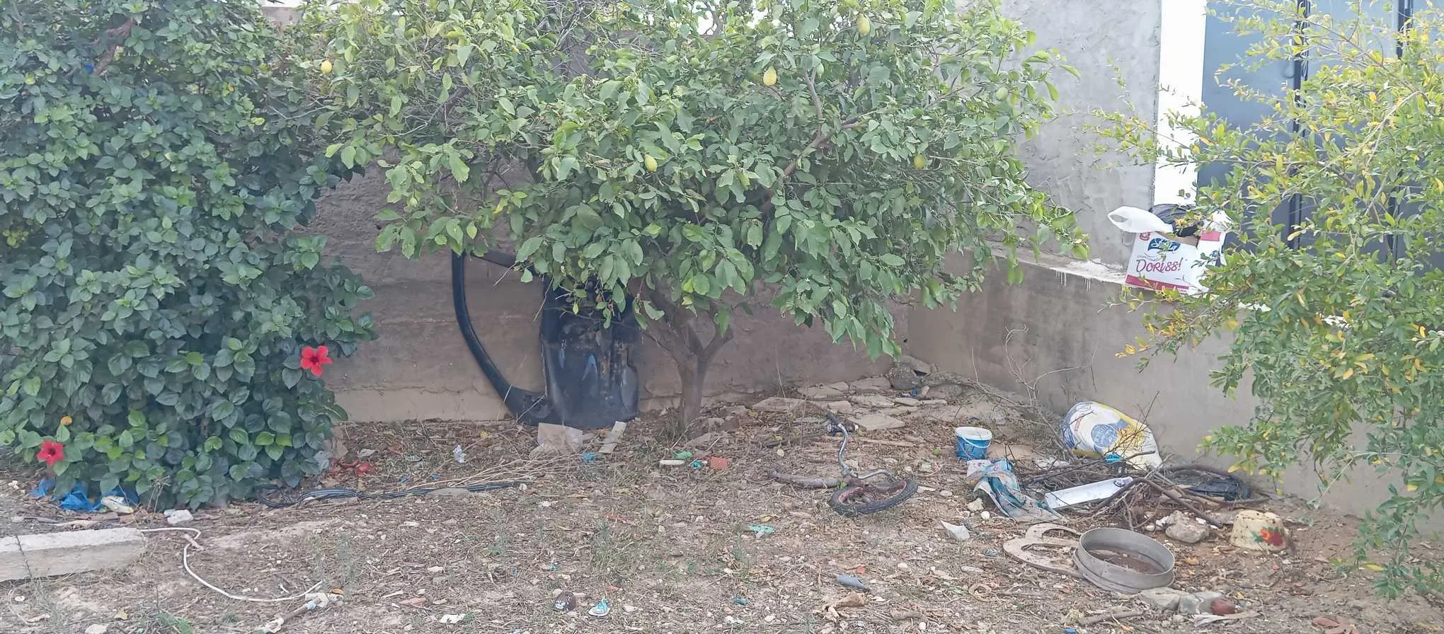 بيع قطعة أرض مسجّلة