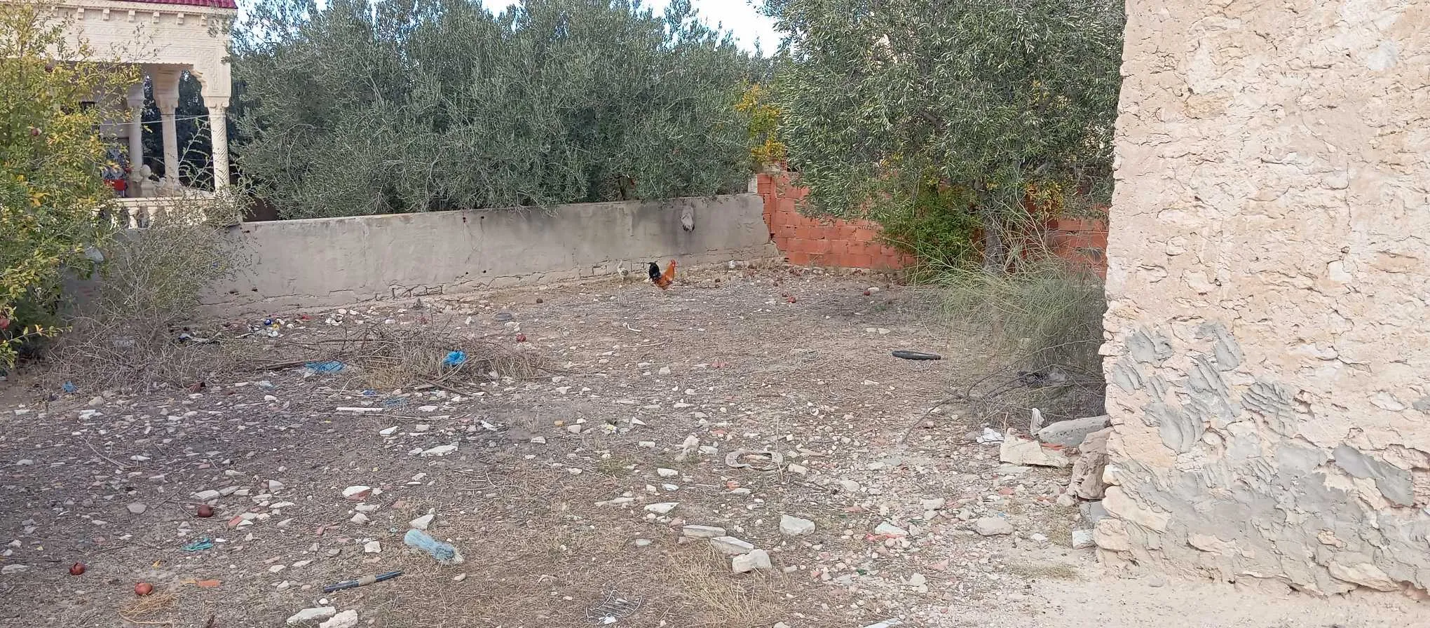 بيع قطعة أرض مسجّلة