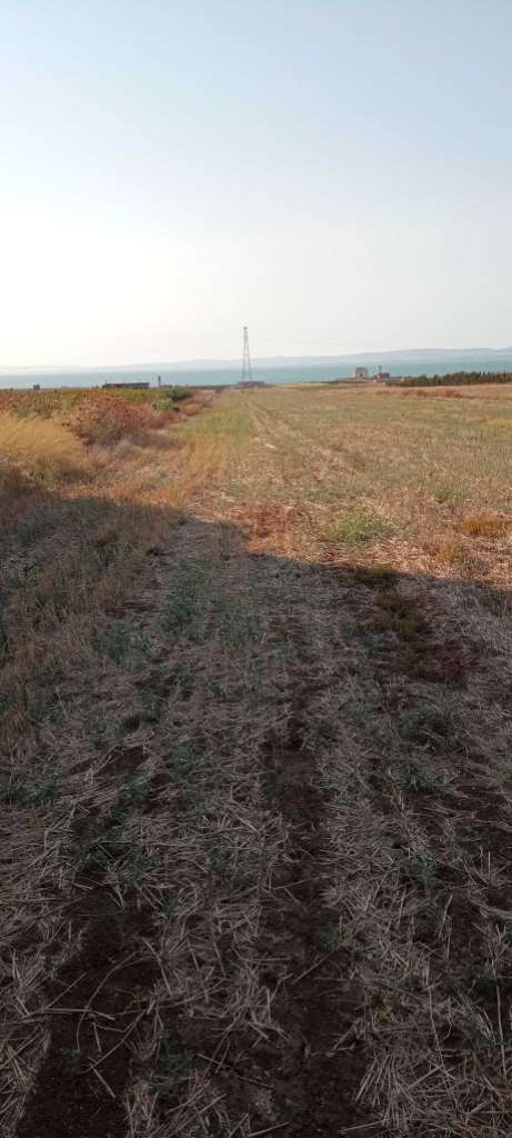 أرض للبيع طريق تونس منزل بورقيبة