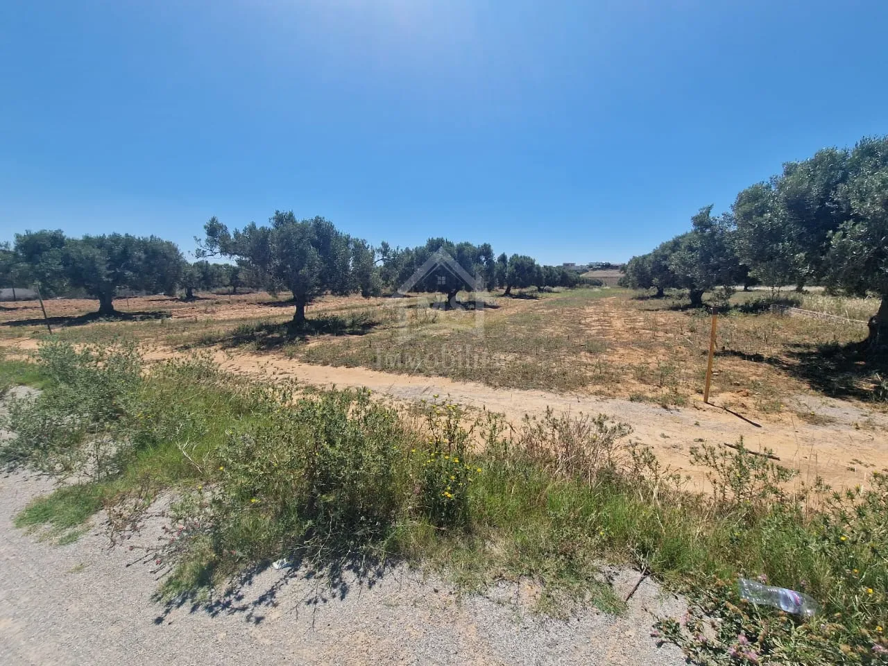 Terrain de 4000 m² à vendre à 100 MD à Hammamet Sud 51355351