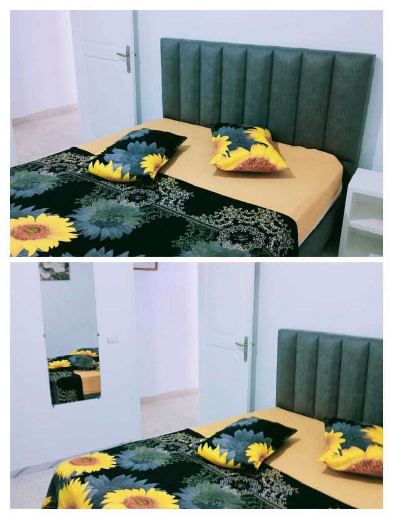 شقق مفروشة للايجار باليوم 90/100/120في تونس العاصمة 