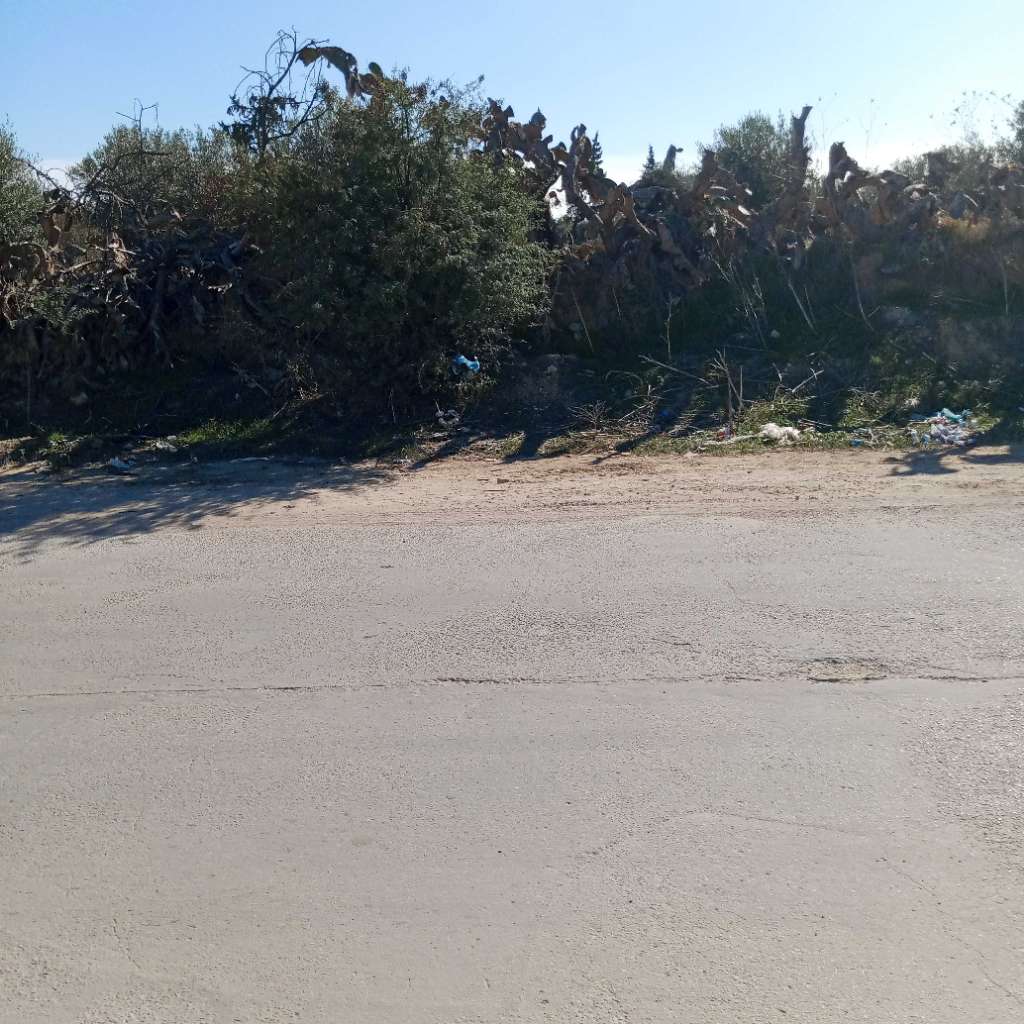 أرض فلاحية بموقع ممتاز لبيع جزء منها