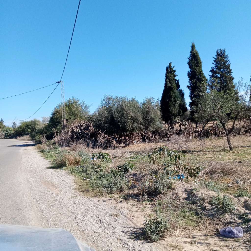 أرض فلاحية بموقع ممتاز لبيع جزء منها