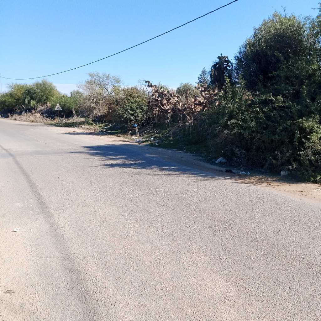 أرض فلاحية بموقع ممتاز لبيع جزء منها