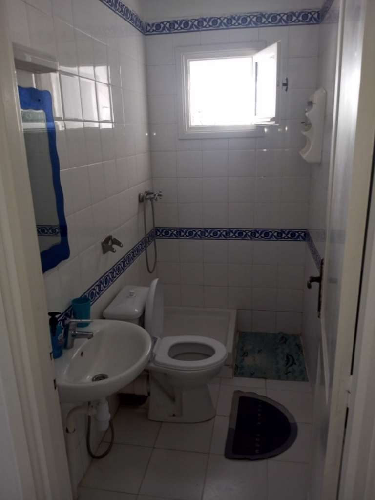 Appart s+1 meuble à louer a manar