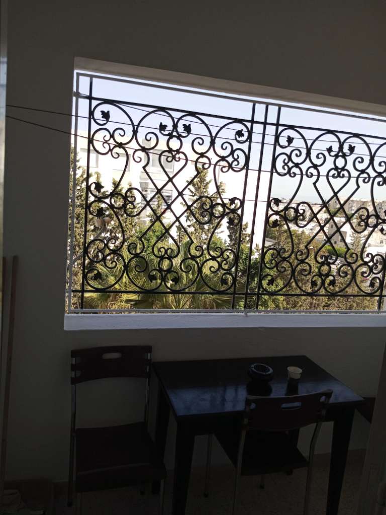 Appart s+1 meuble à louer a manar