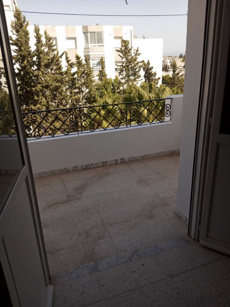 Appart s+1 meuble à louer a manar