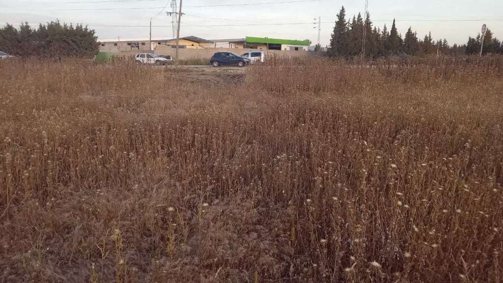 Terrain agricole à bousalem jendouba