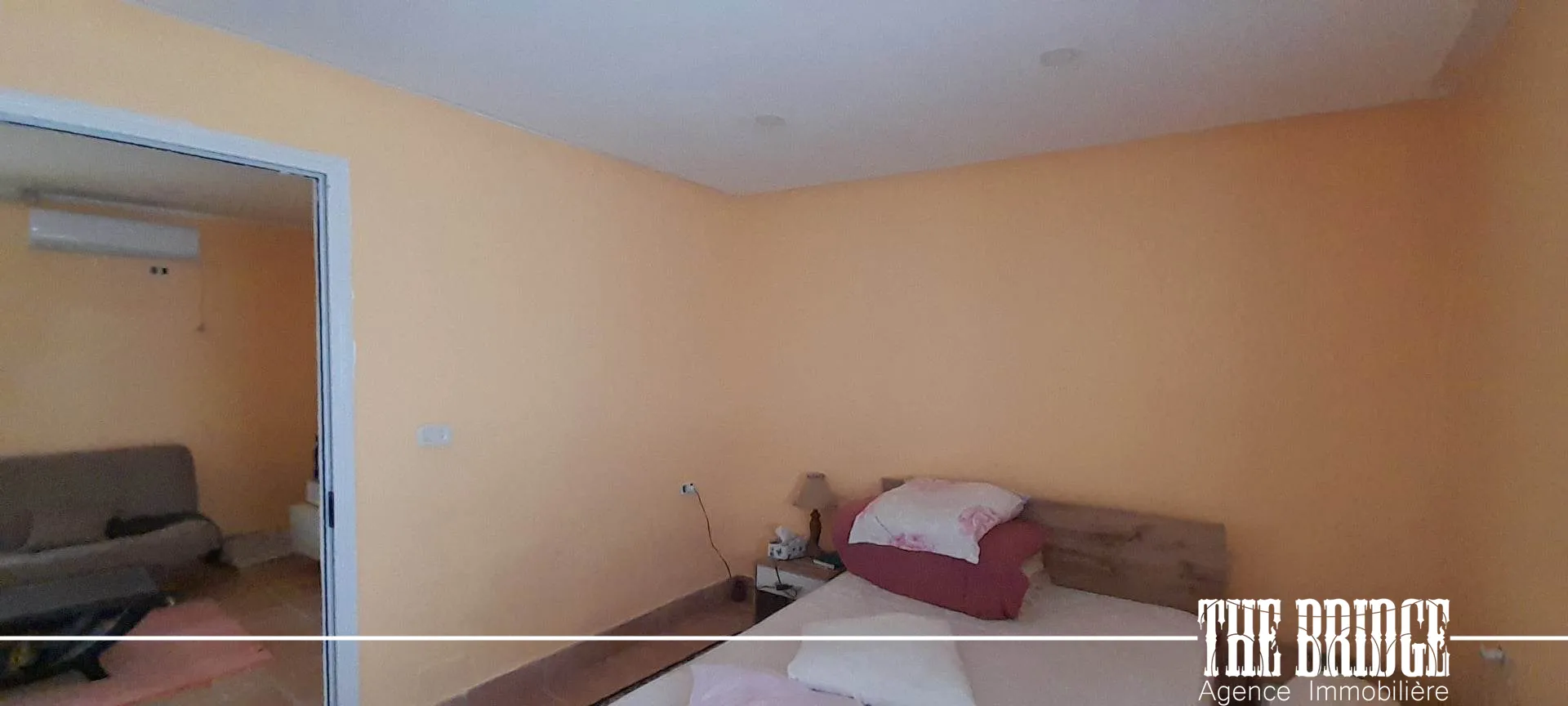 Un hectare d’agrumes à Bou Argoub