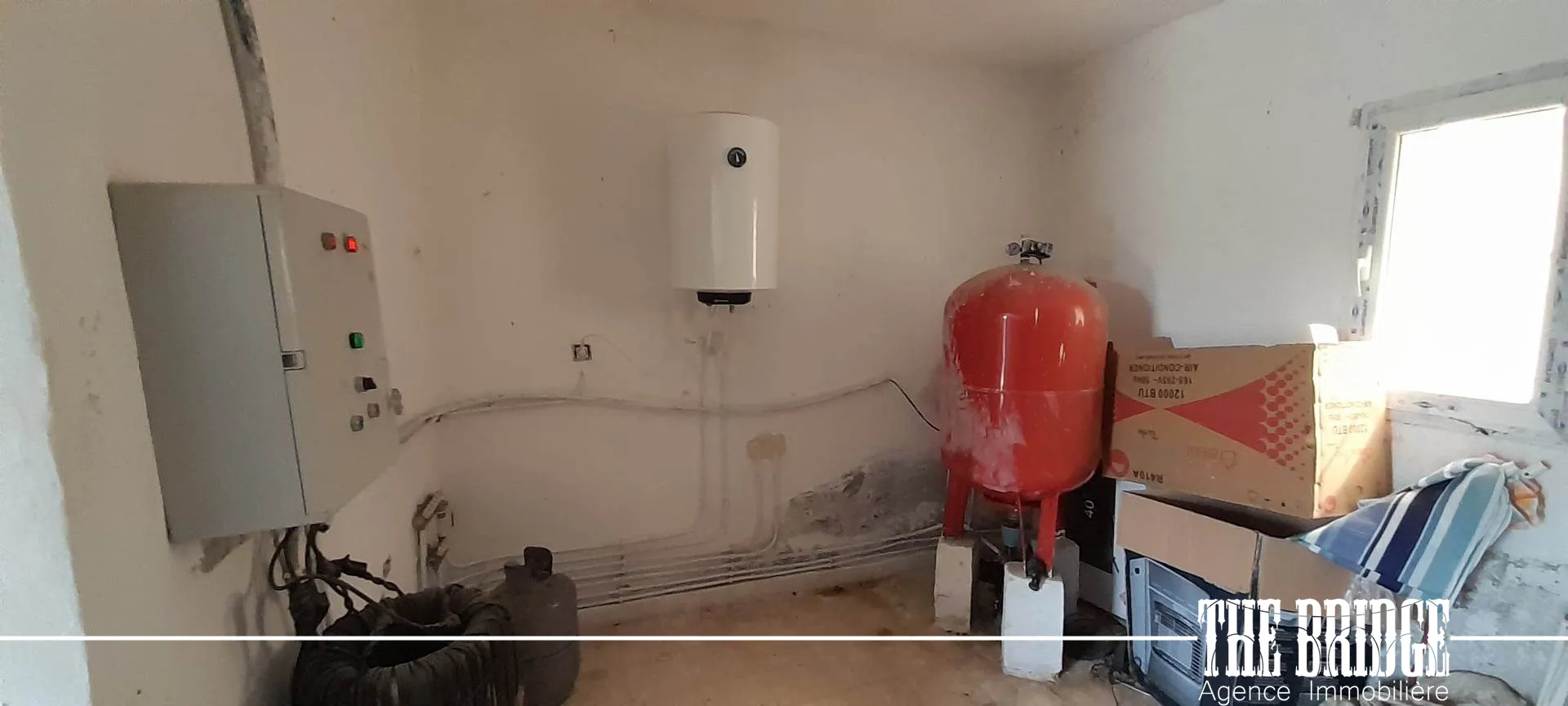 Un hectare d’agrumes à Bou Argoub