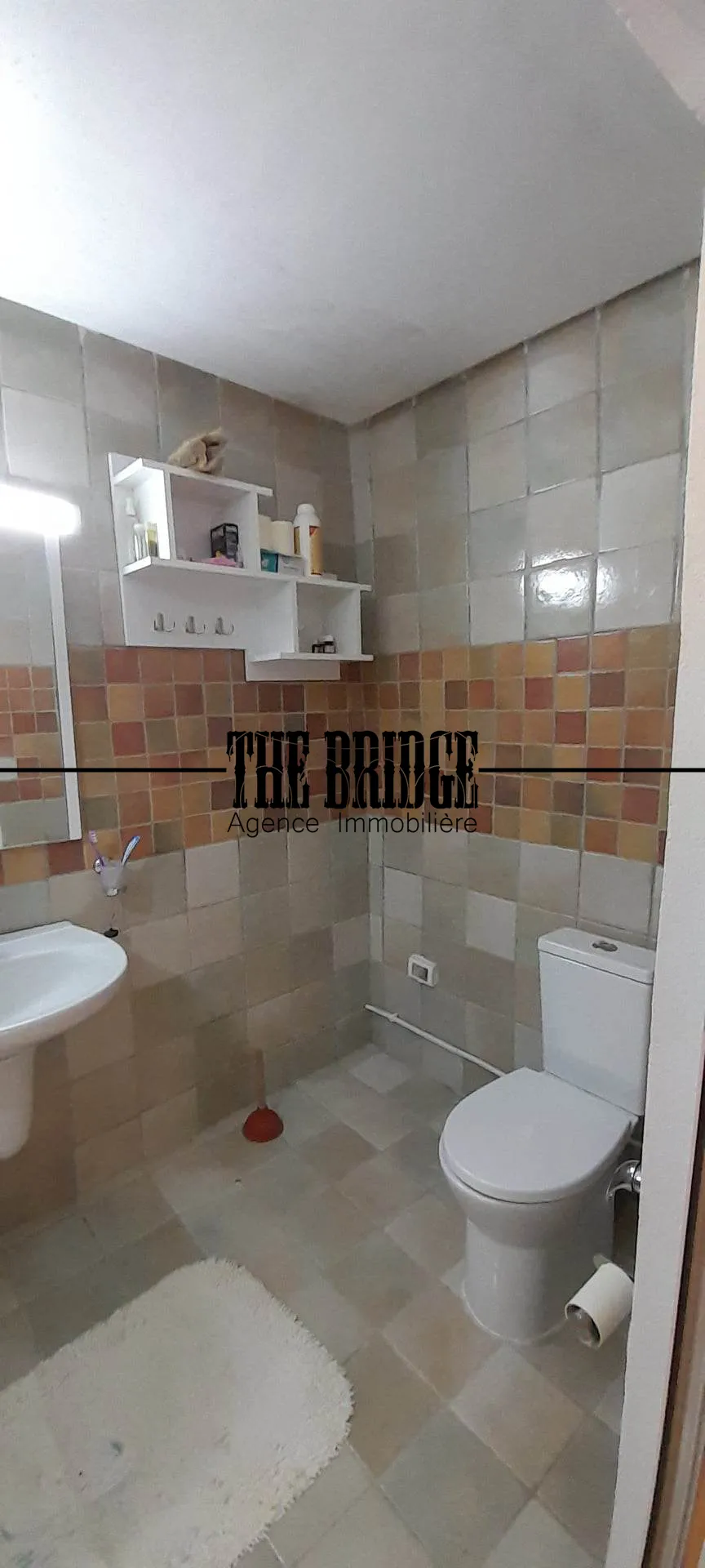 Un hectare d’agrumes à Bou Argoub