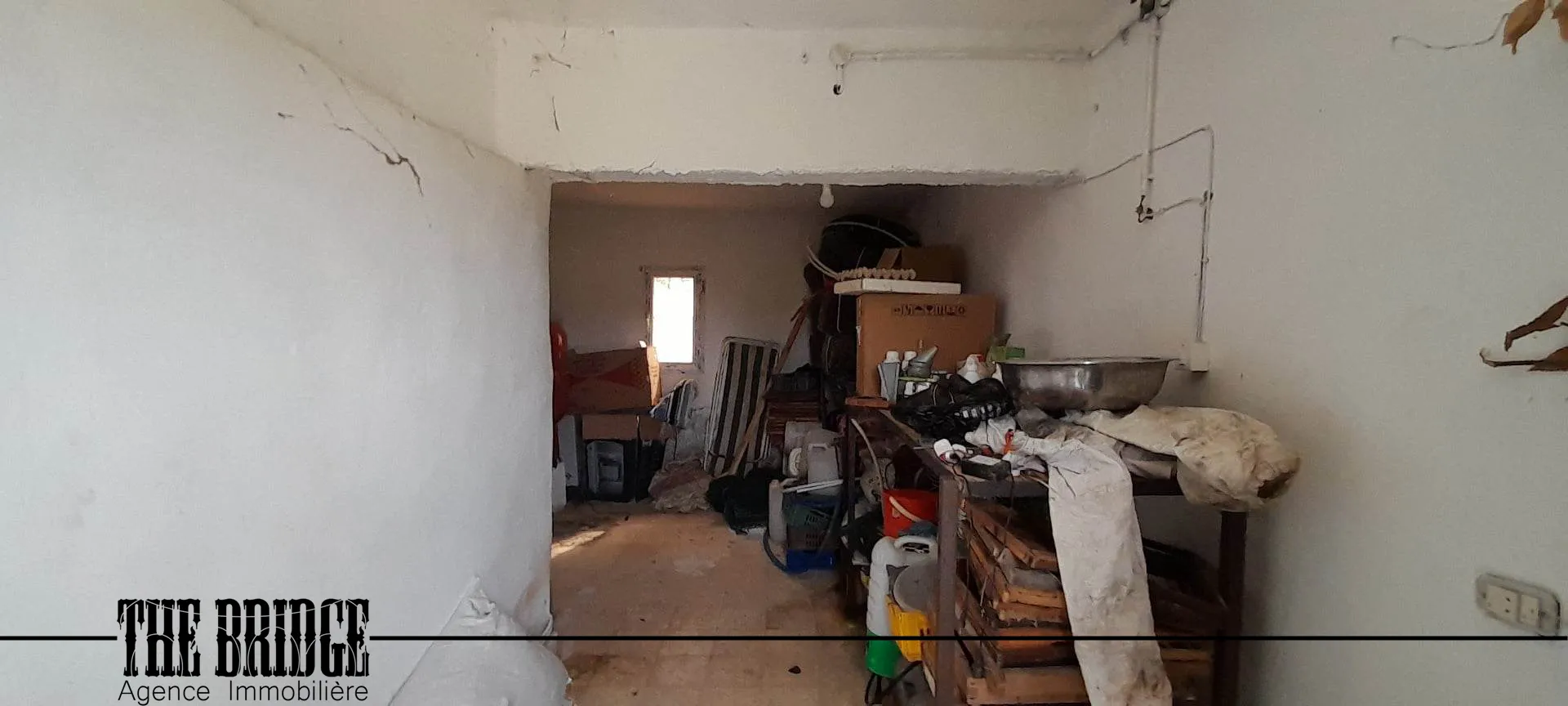 Un hectare d’agrumes à Bou Argoub