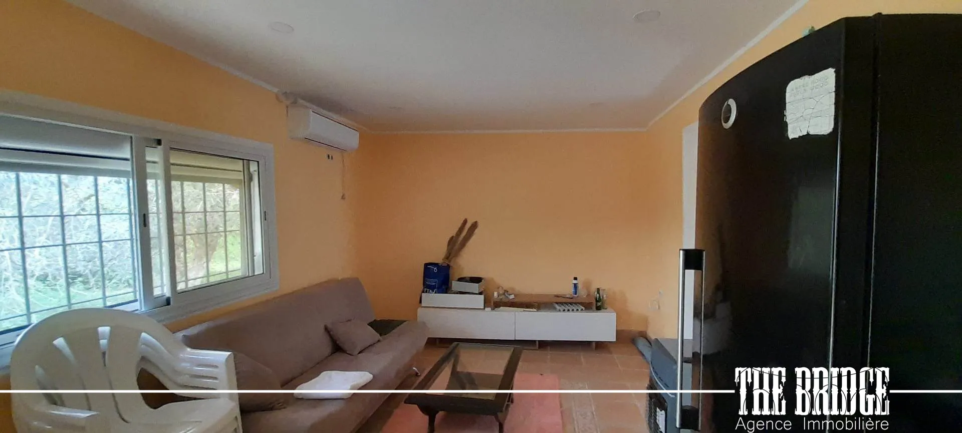 Un hectare d’agrumes à Bou Argoub