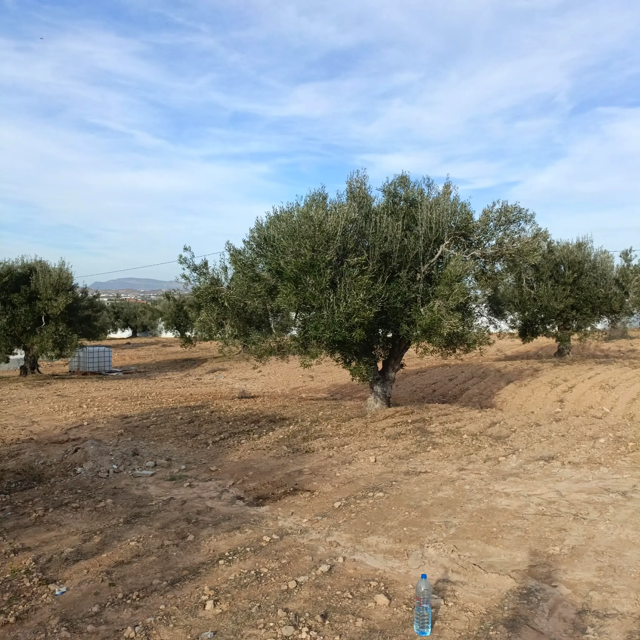 AV beau terrain de 600m à hammamet sud 