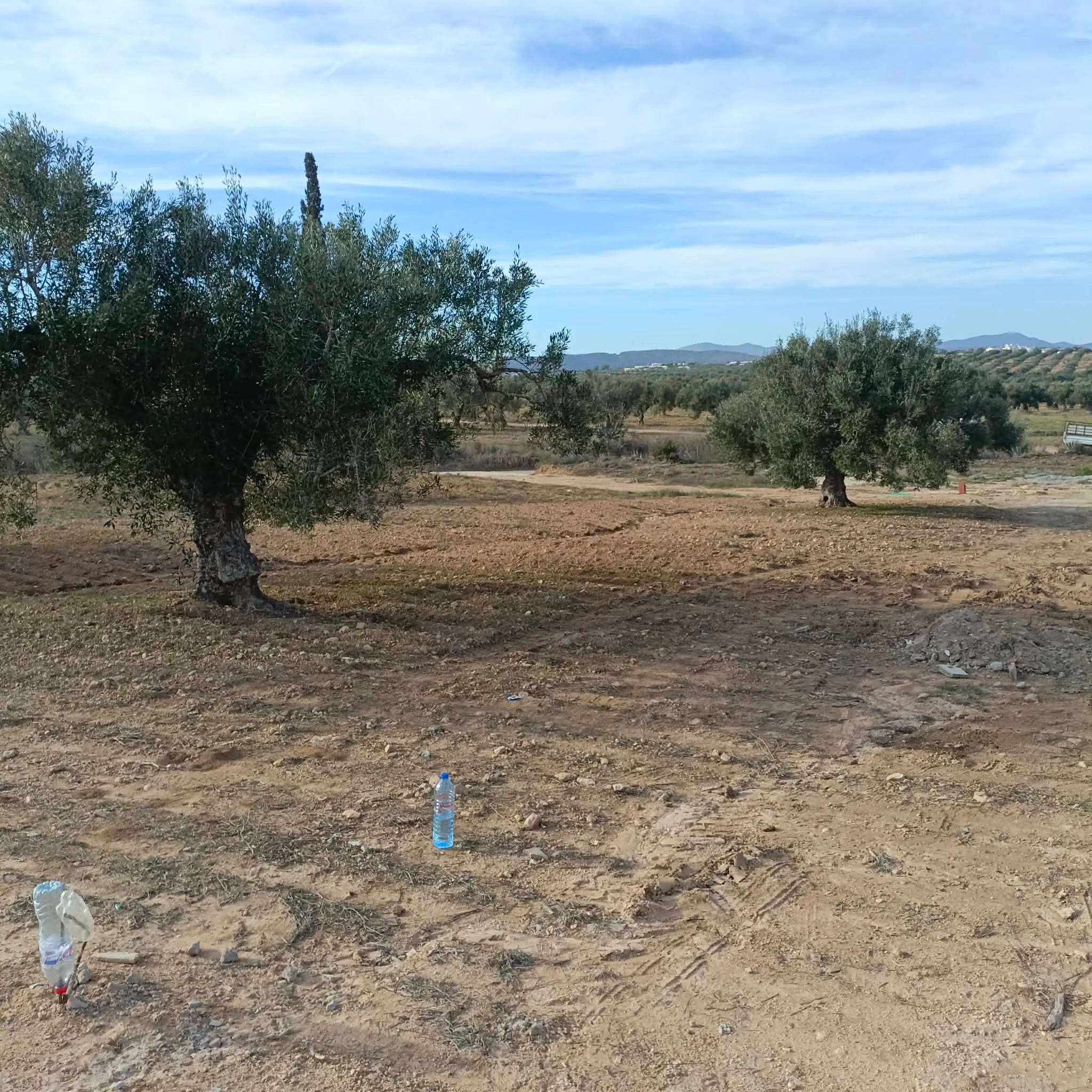 AV beau terrain de 600m à hammamet sud 