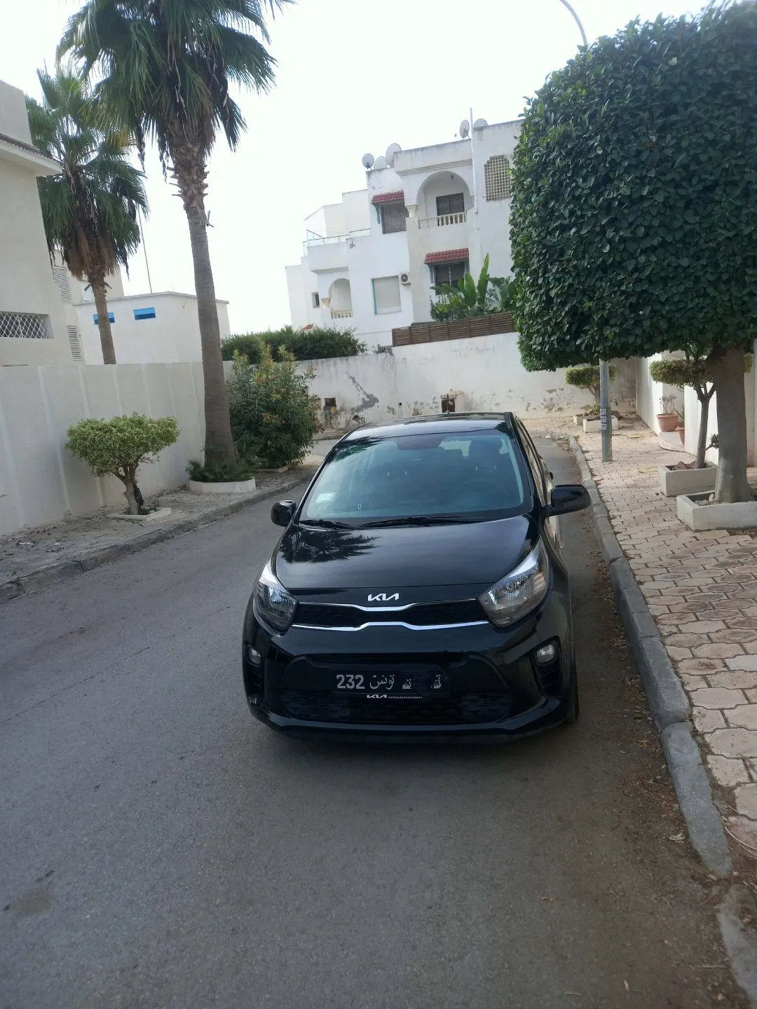 Kia Picanto populaire
