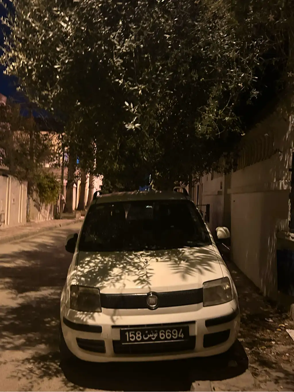 Fiat panda