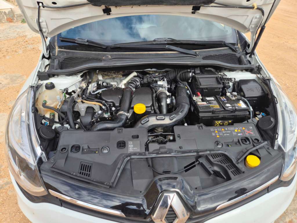 Clio dynamic
