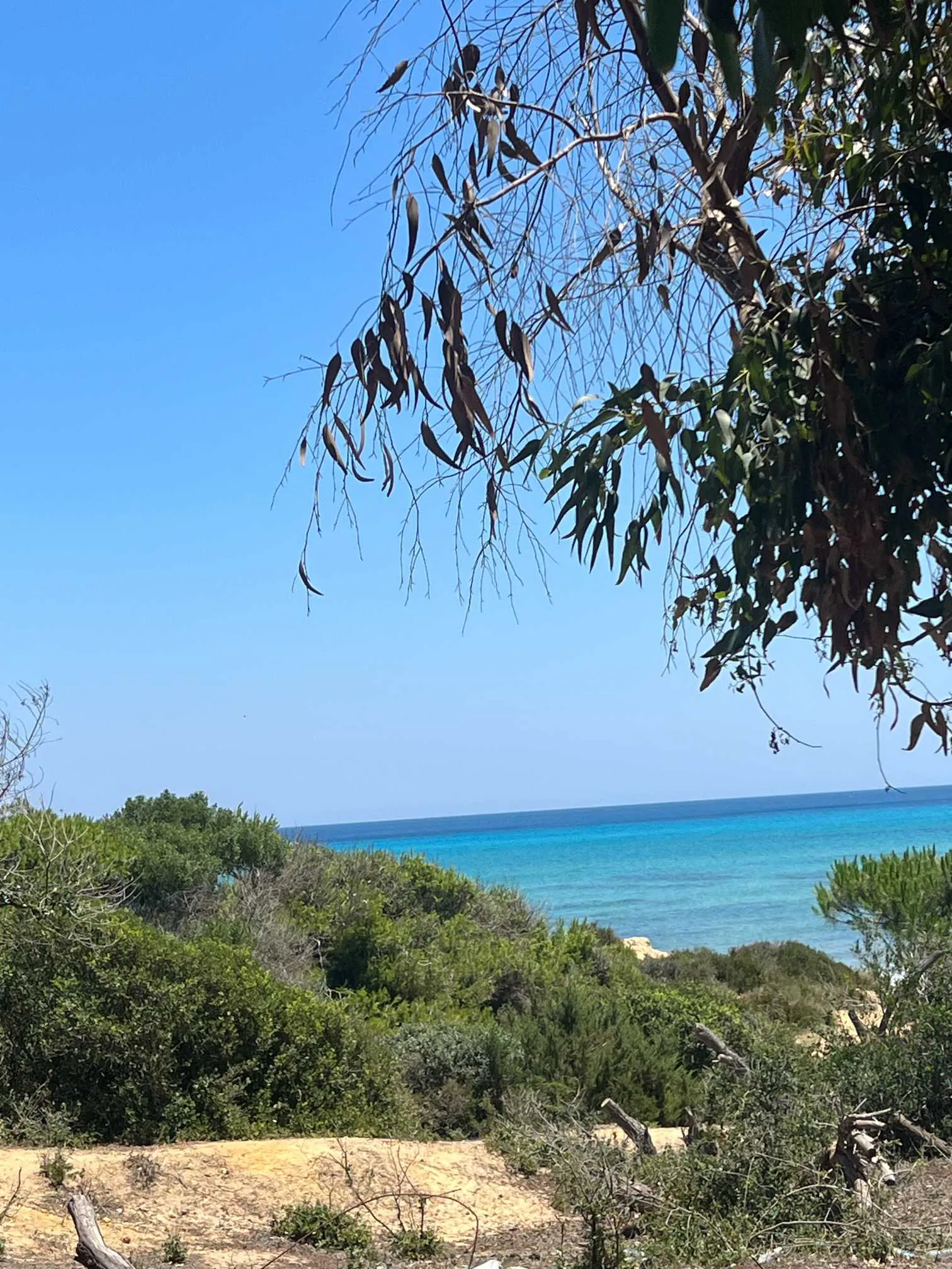 2 ha a 200 m a la plage e'ezzahra kelibia 