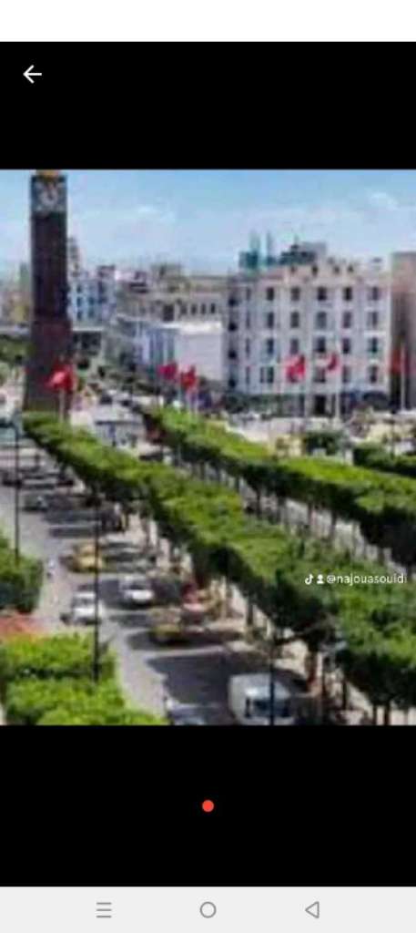 ستوديو مفروس الإيجار باليوم او اسبوع في مكان هادئ تونس