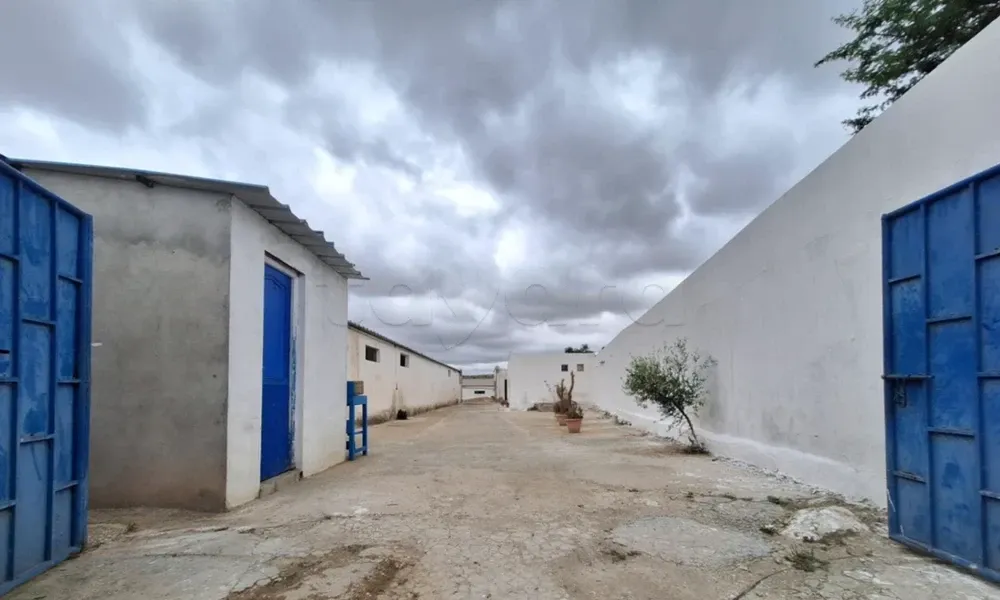 AL Dépot stockage Mornaguia