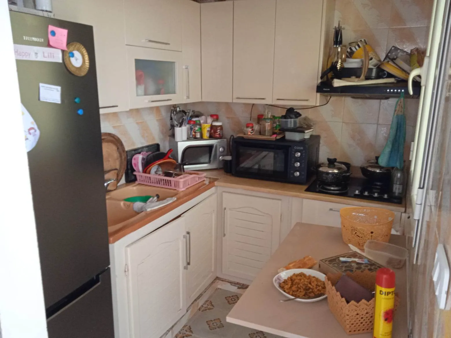 S+2 + studio Kherredinne la Goulette