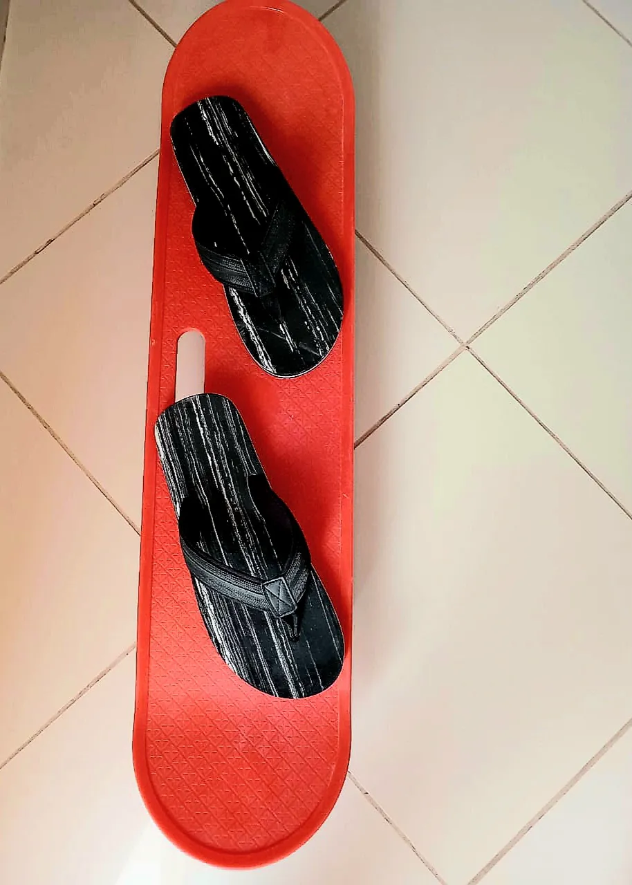 Skate board