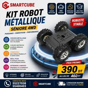 Kit Robot Métallique Séniore 4WD 