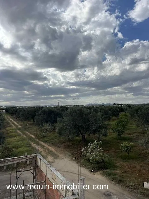 TERRAIN CLAUDIA Douikhla Hammamet Sud T1219